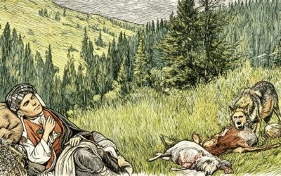 Bildu, la impunidad del brazo político de ETA: una democracia de pacotilla