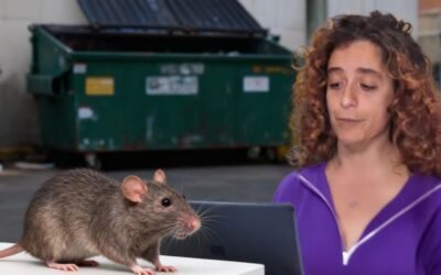 Cuando el Debate Político Blaquea al Terrorismo e Insulta a las Víctimas