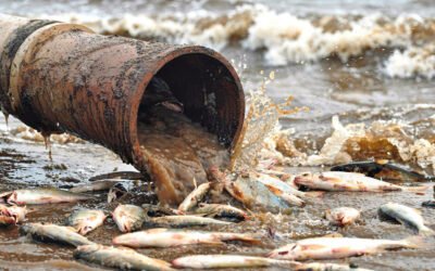 España, condenada por verter al mar las cloacas del turismo mientras Tenerife clausura sus playas