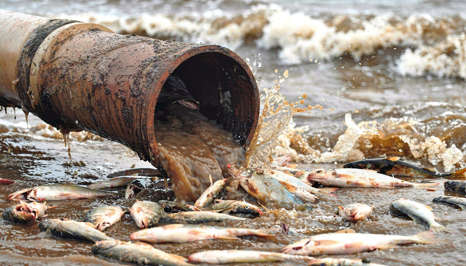 España, condenada por verter al mar las cloacas del turismo mientras Tenerife clausura sus playas