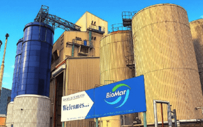 Operación espectacular contra Biomar Oil